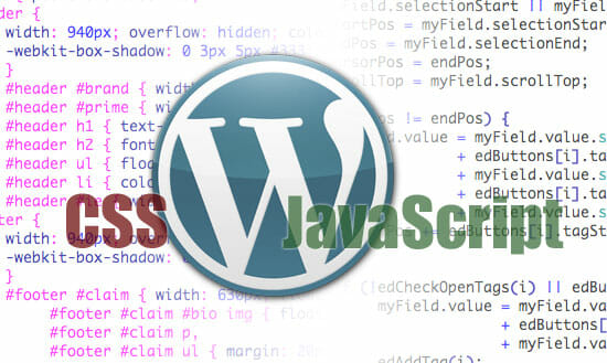 How to Disable CSS and Javascript Files in WordPress