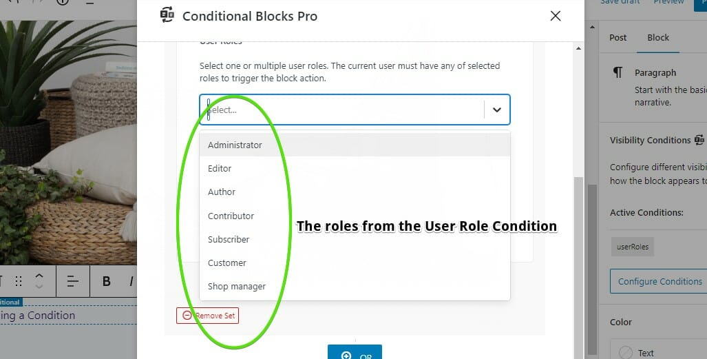 User Role Condition Roles